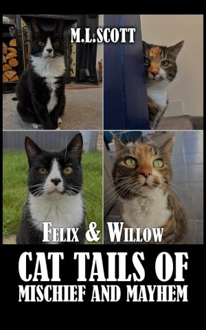 Felix & Willow Cat Tails of Mischief and Mayhem